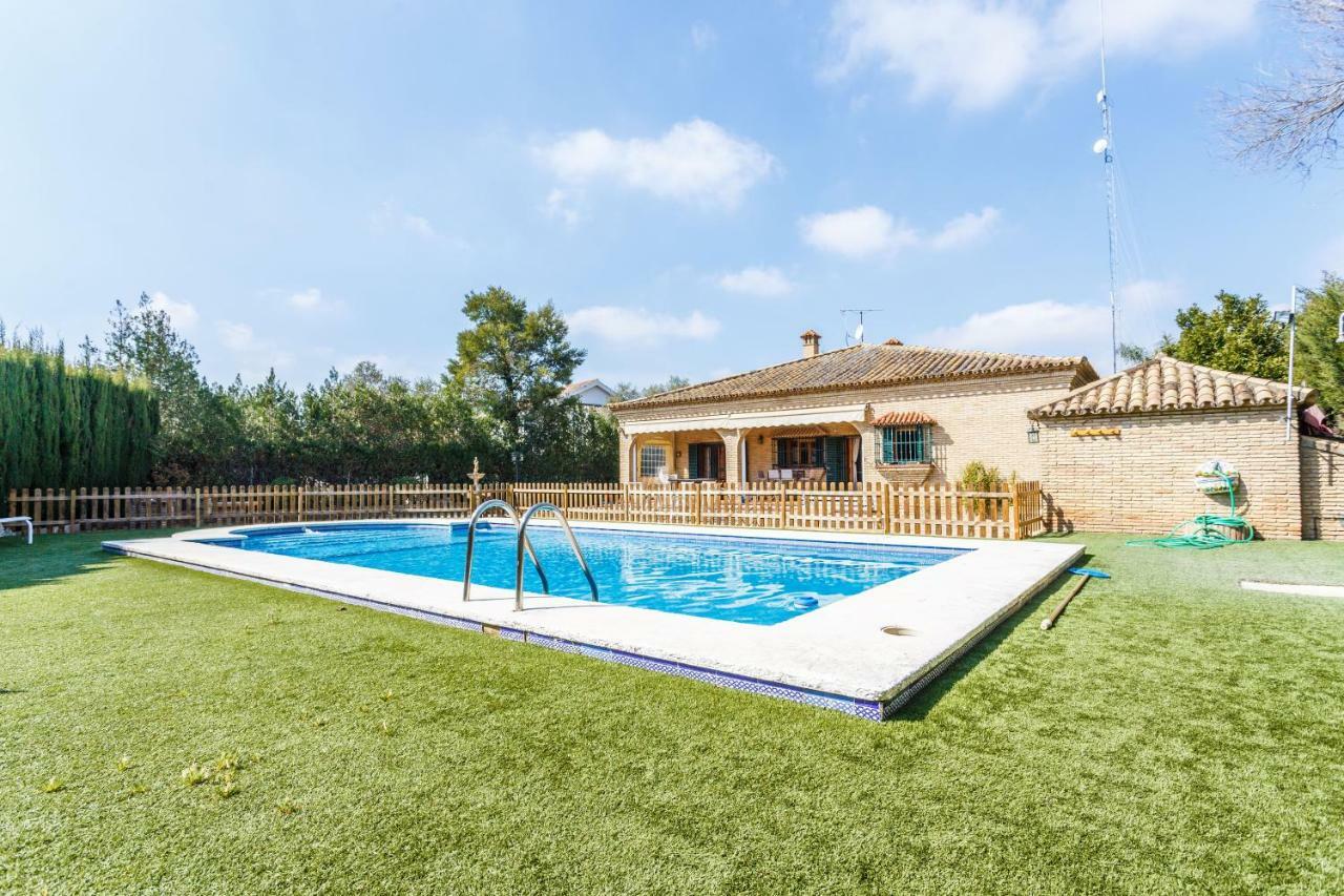 Divi Apartments Villa Reyes マイレナ・デル・アルハラフェ エクステリア 写真