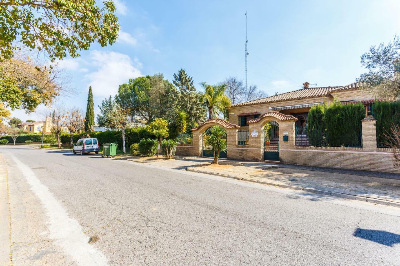 Divi Apartments Villa Reyes マイレナ・デル・アルハラフェ エクステリア 写真