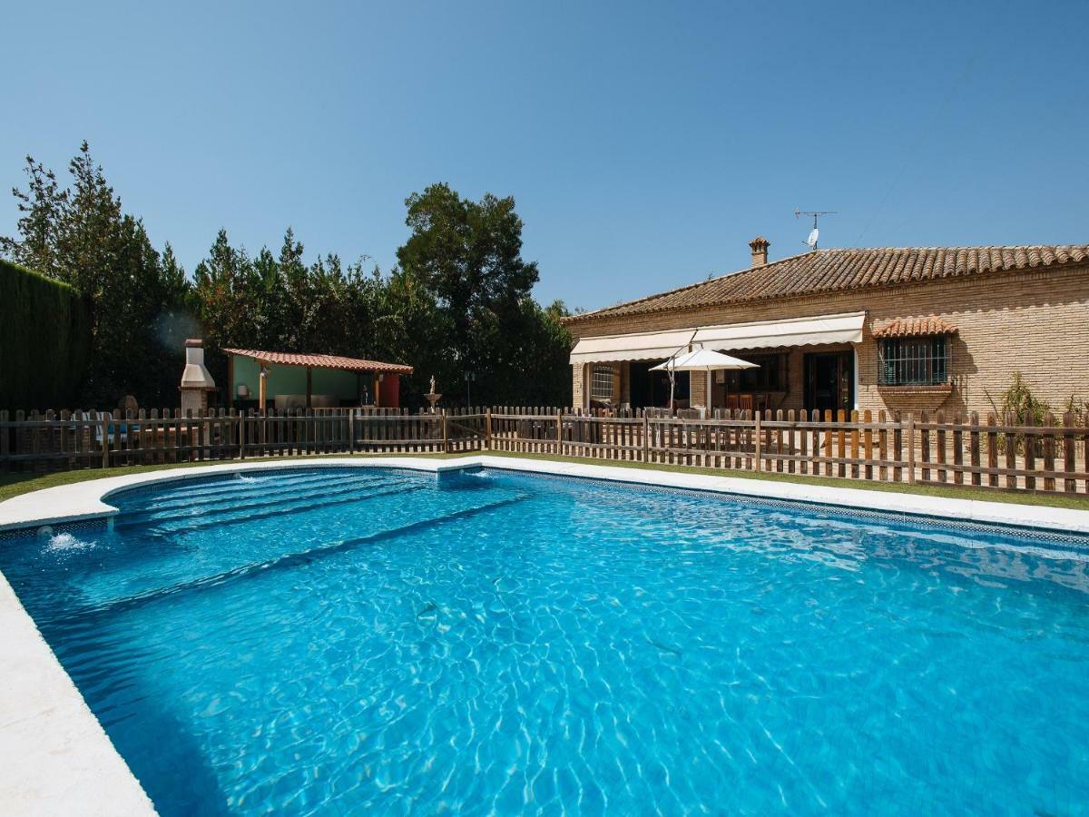 Divi Apartments Villa Reyes マイレナ・デル・アルハラフェ エクステリア 写真